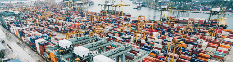Supply Chain Safety for Employees and Facilities
