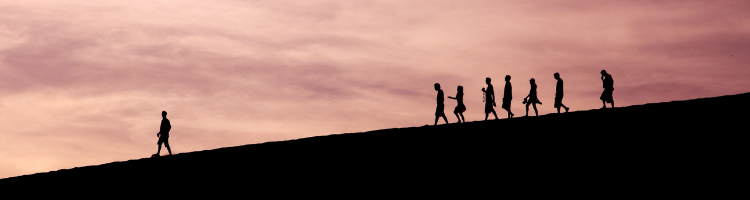 Leadership and company values