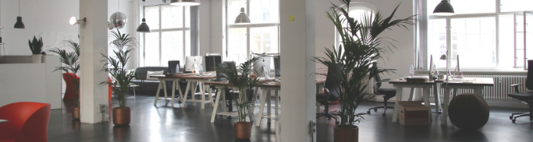 Office lobby redesign
